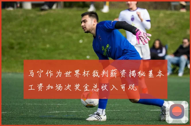 马宁作为世界杯裁判薪资揭秘基本工资加场次奖金总收入可观